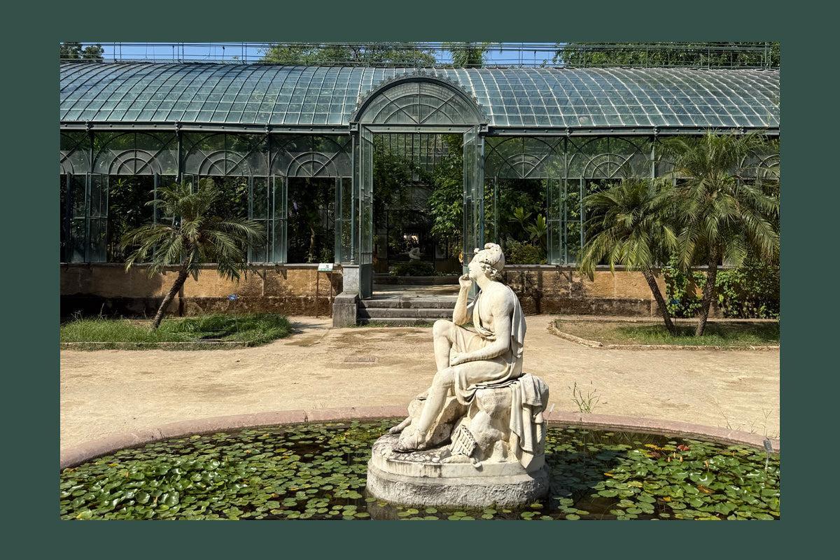 Le Jardin Botanique de Palerme, ode à la grandeur sicilienne