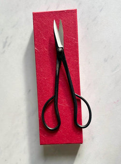 Sentei Bonsai Scissors