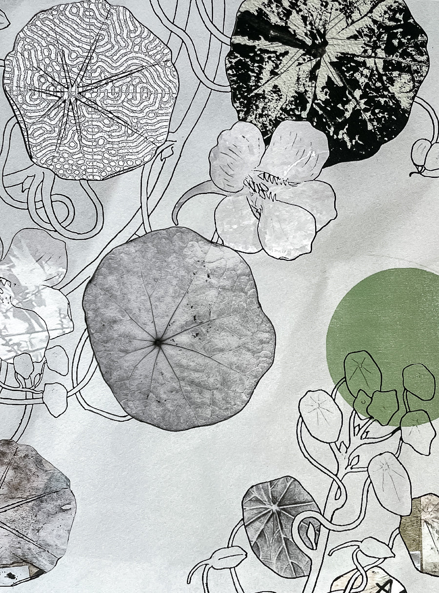 Nasturtiums - Fine Art Print