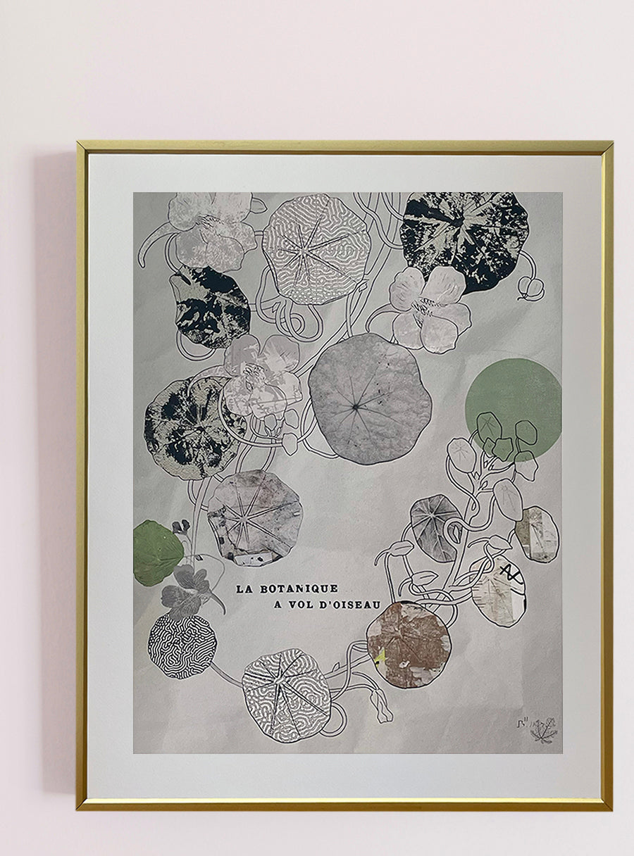 Nasturtiums - Fine Art Print