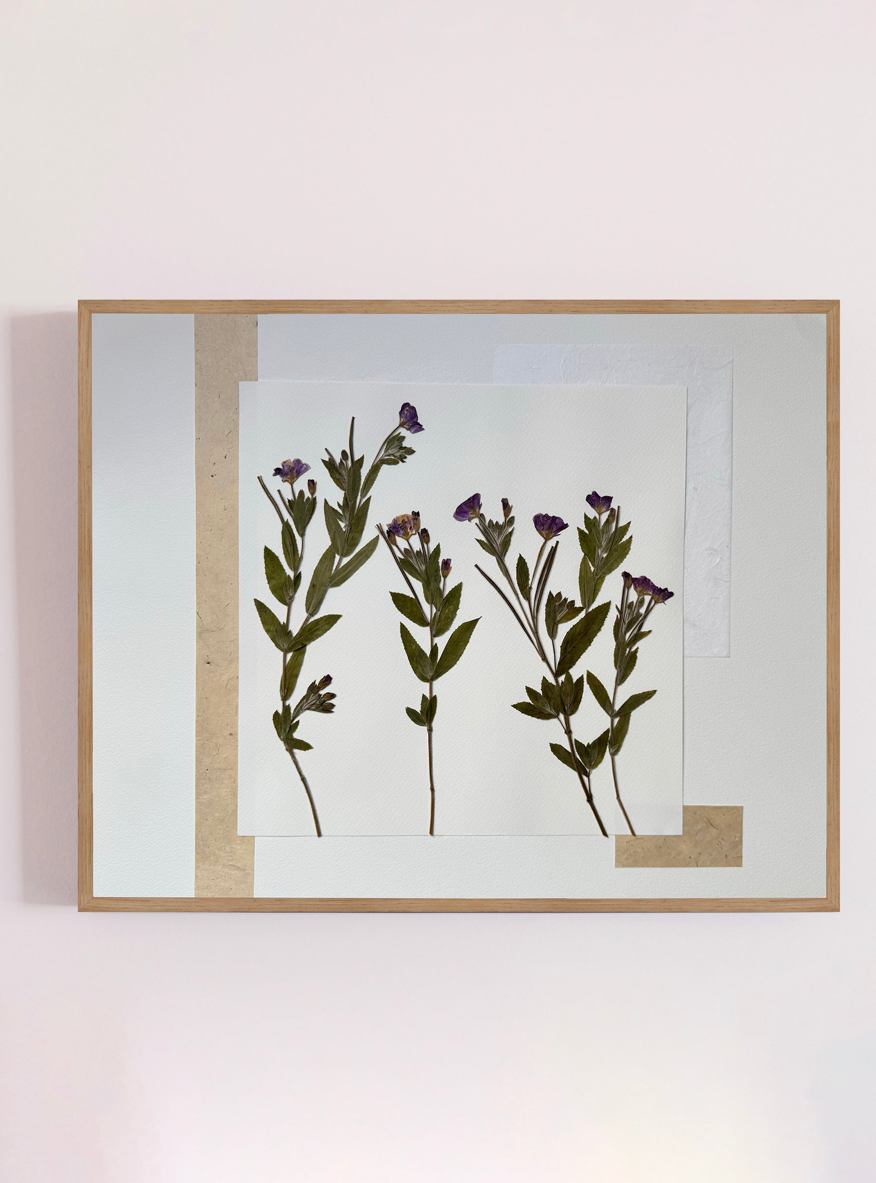 Épilobe I - Les Fleurs Pressées