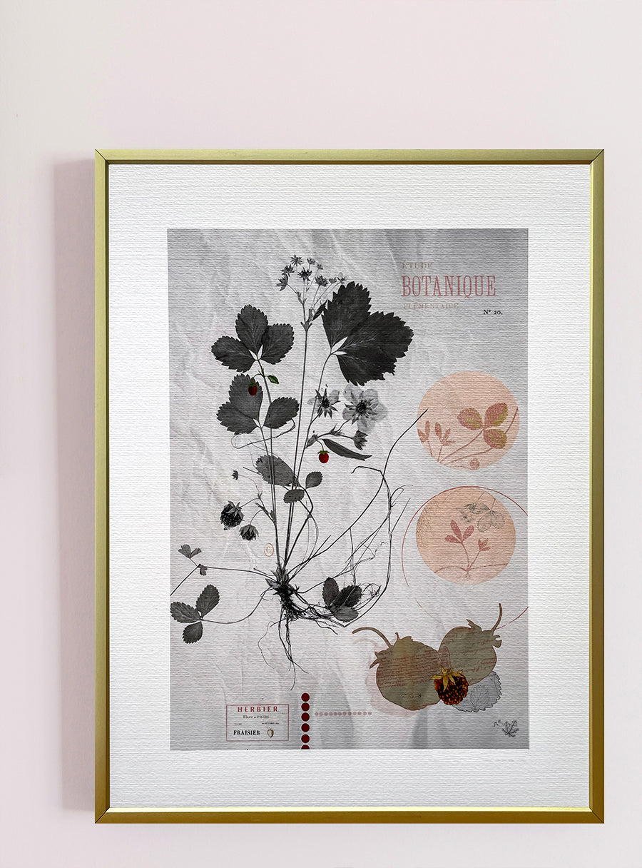 Strawberry Plant - Fine Art Print