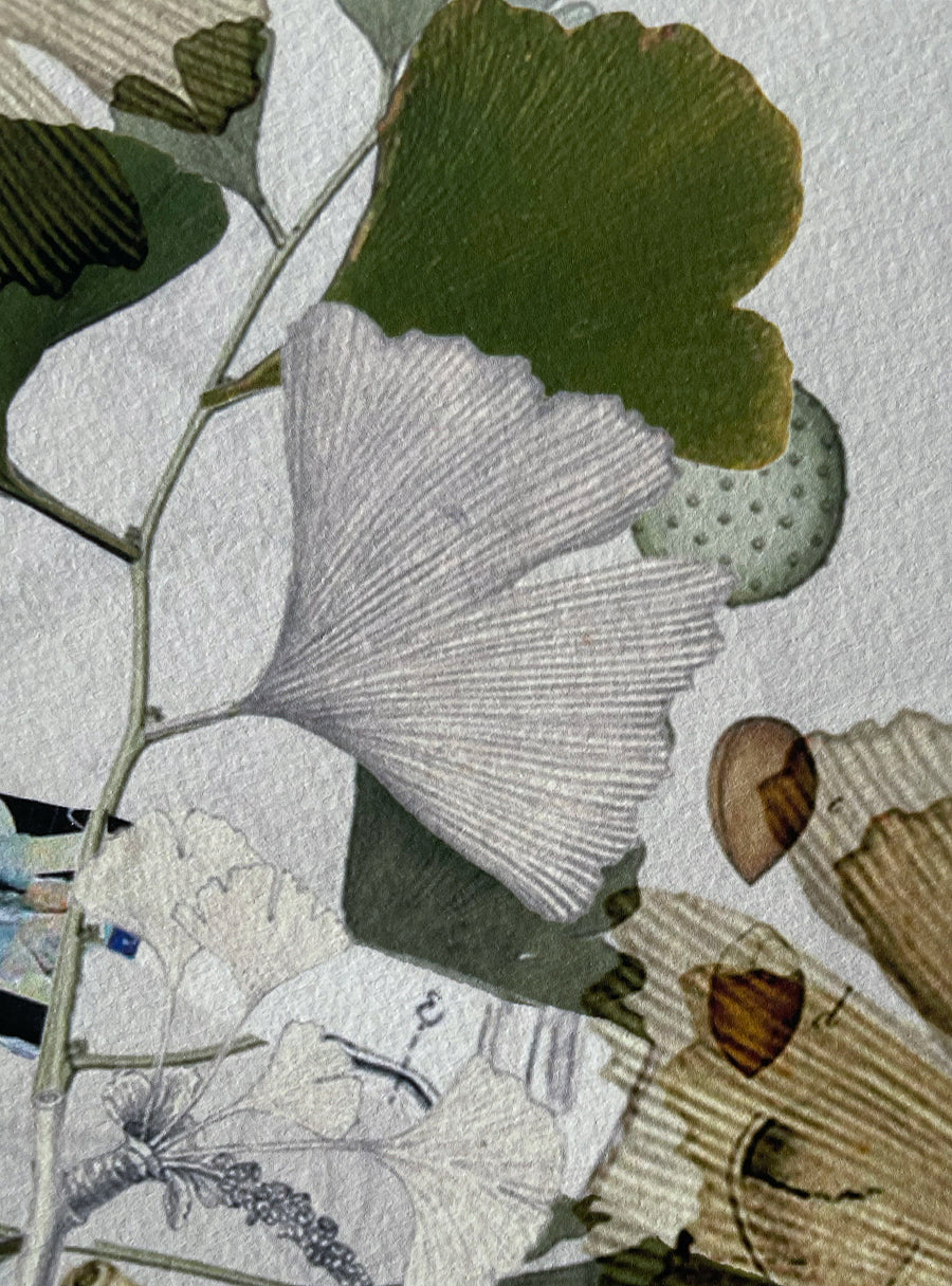 Ginkgo - Fine Art Print