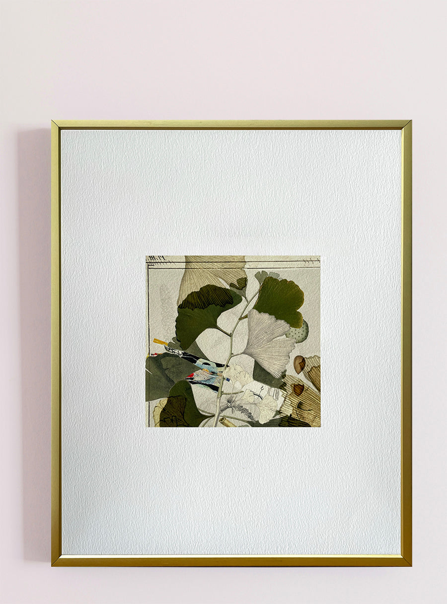 Ginkgo - Fine Art Print