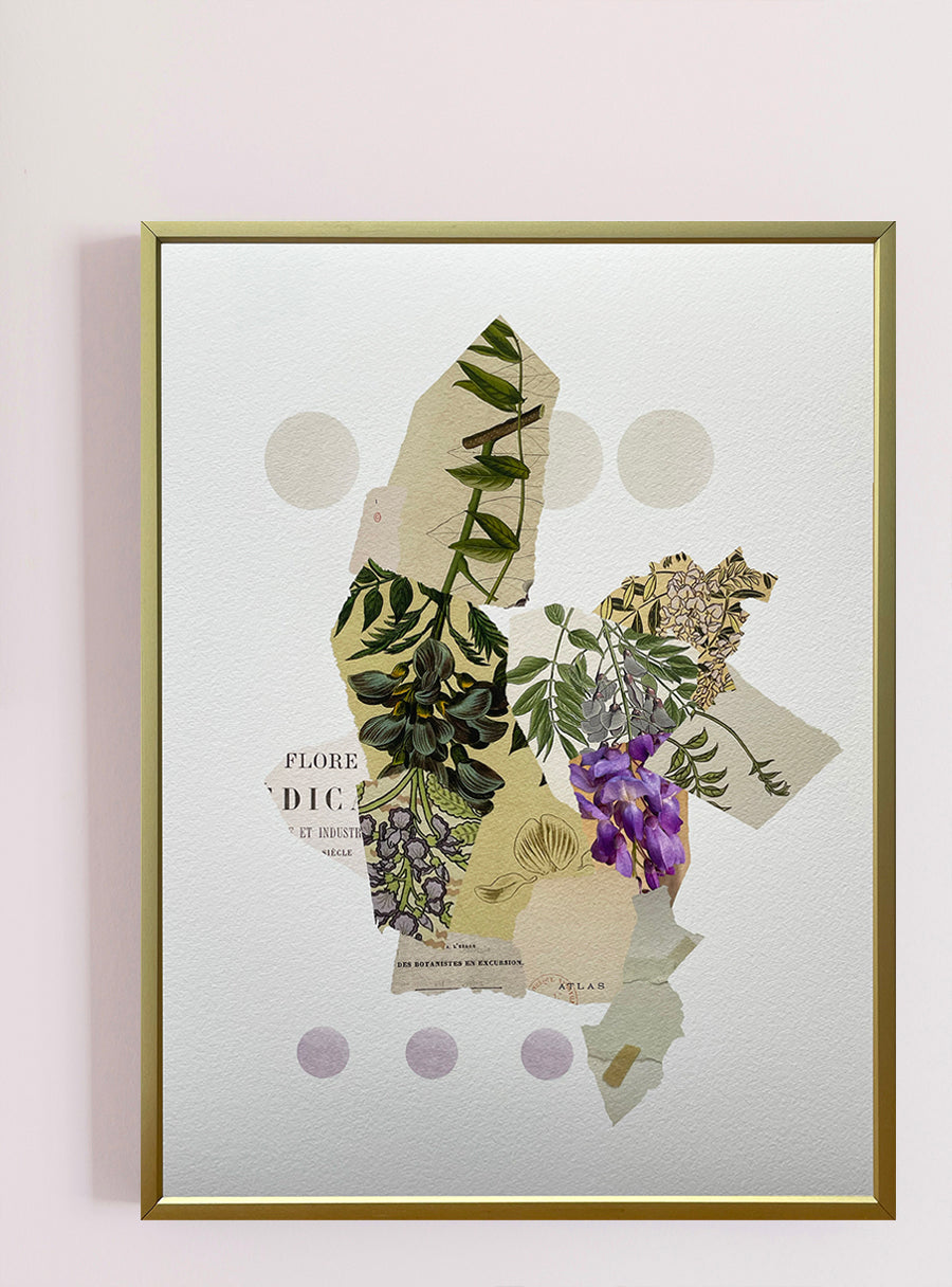 Wisteria - Fine Art Print