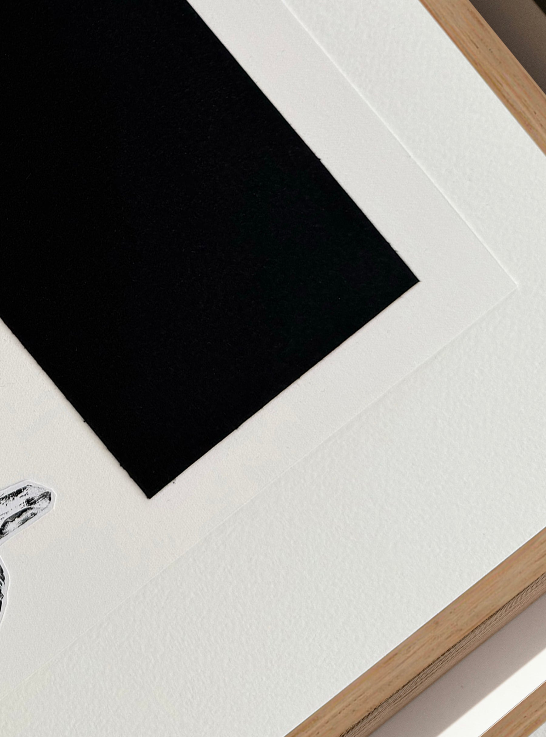 Jonquille noire I - Les Fleurs Pressées