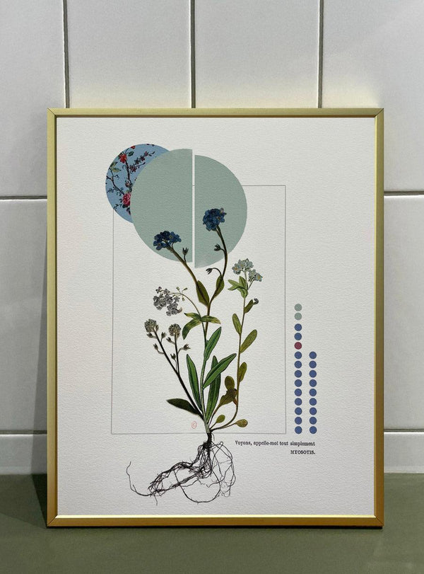 Myosotis - Les Fleurs Pressées, petit format