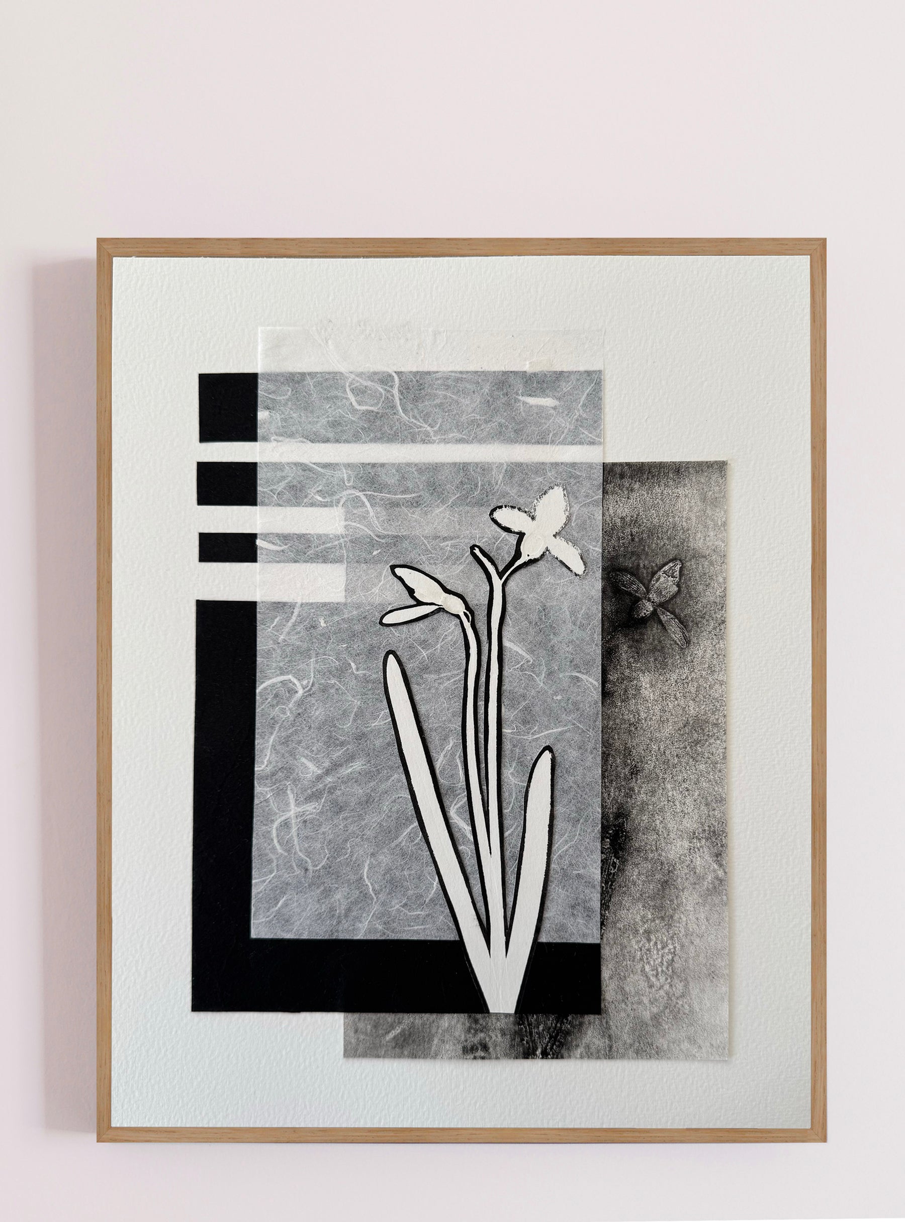 Perce-neige noir I - Les Fleurs Pressées