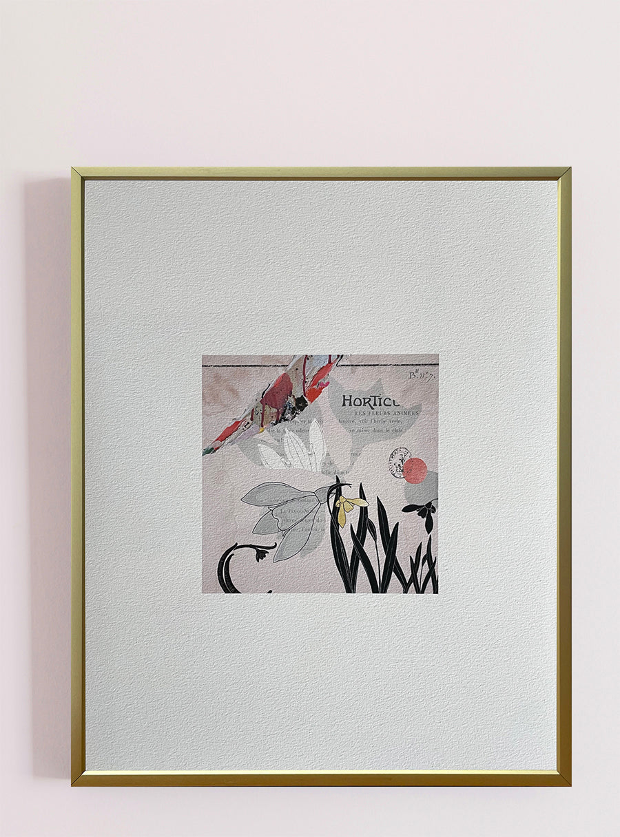 Snowdrop Pink - Fine Art Print