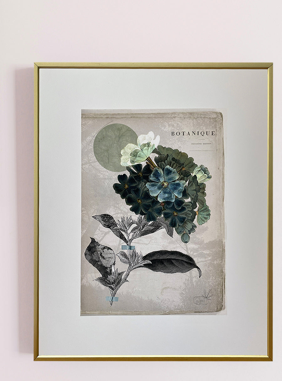 Plumbago - Fine Art Print