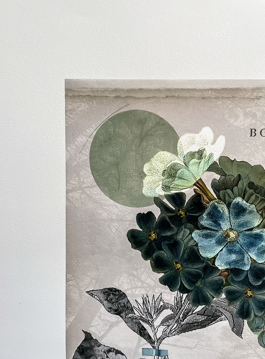 Plumbago - Fine Art Print