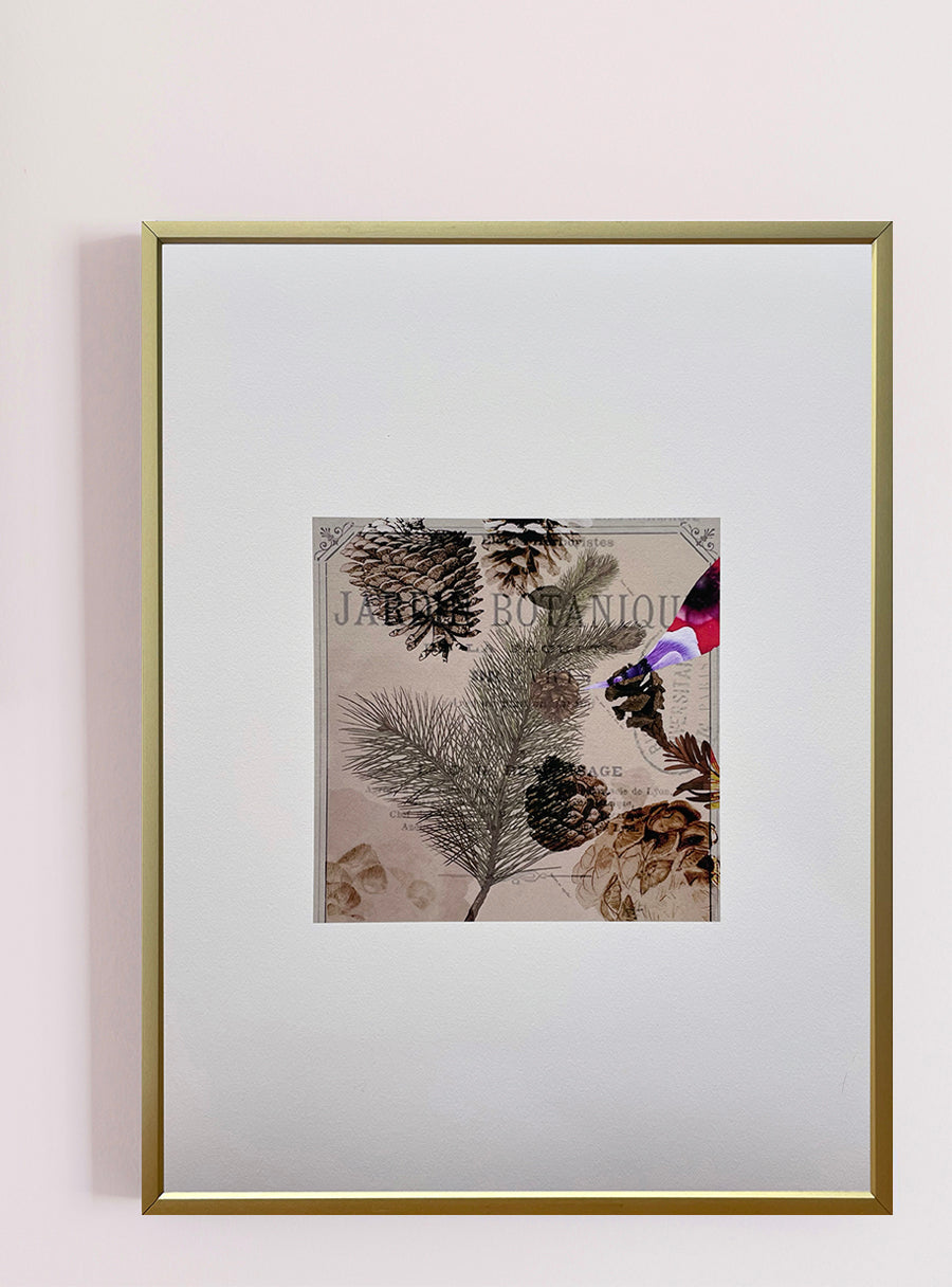 Pine cone - Fine Art Print