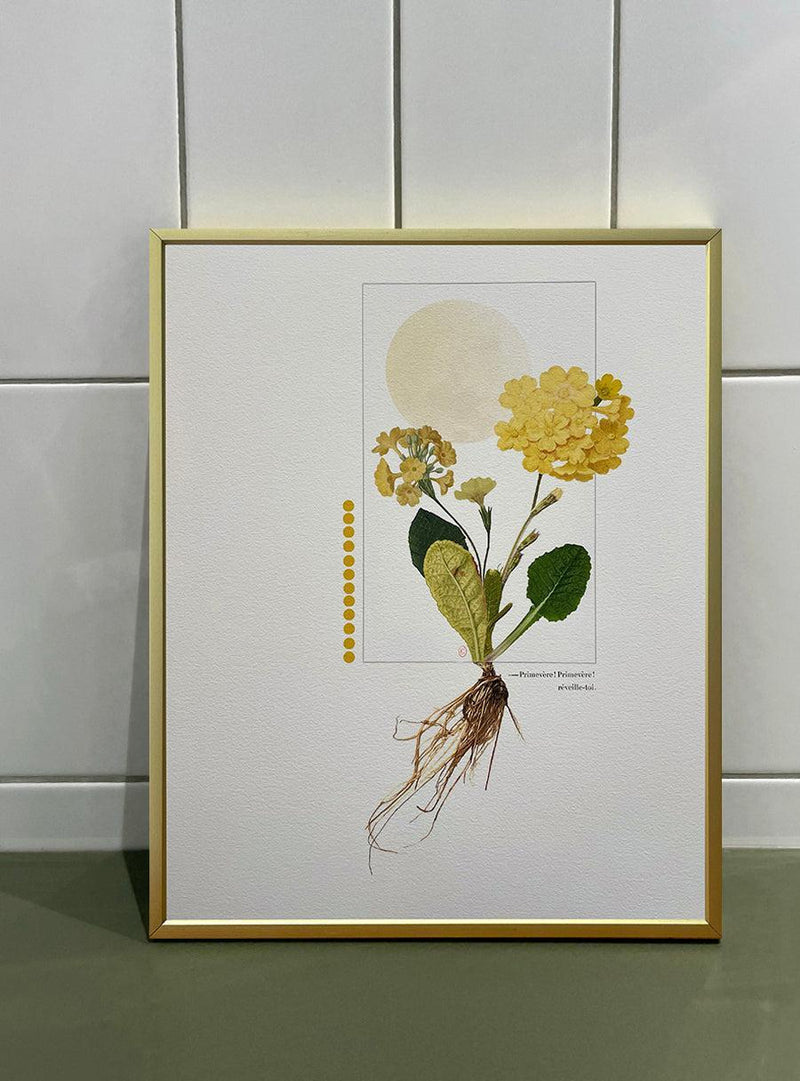 Collage Les Fleurs Pressées - Petit format - Primevère jaune