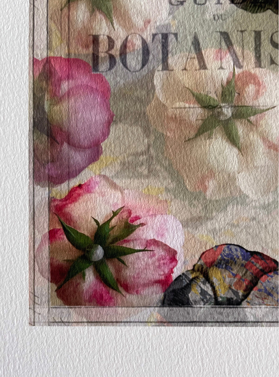 Roses - Tirage d’art