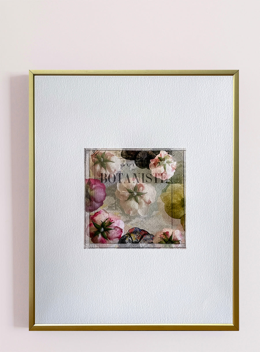 Roses - Tirage d’art