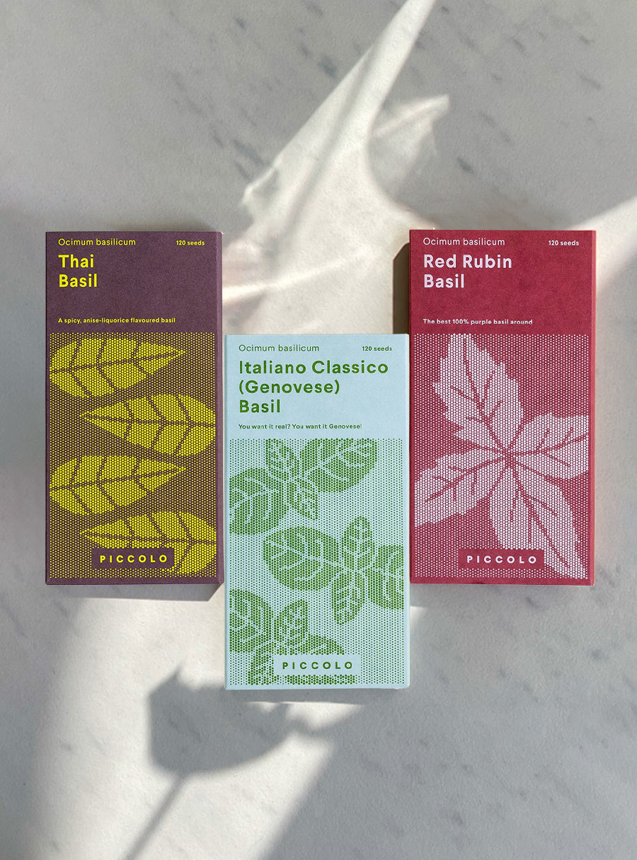 Trio de graines - Basilic