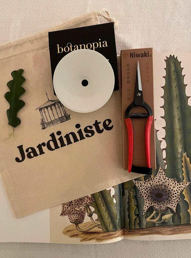 Pochette Cadeau - Culture des plantes dans l'eau