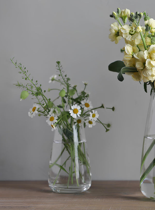 Vase Aqua Culture en verre