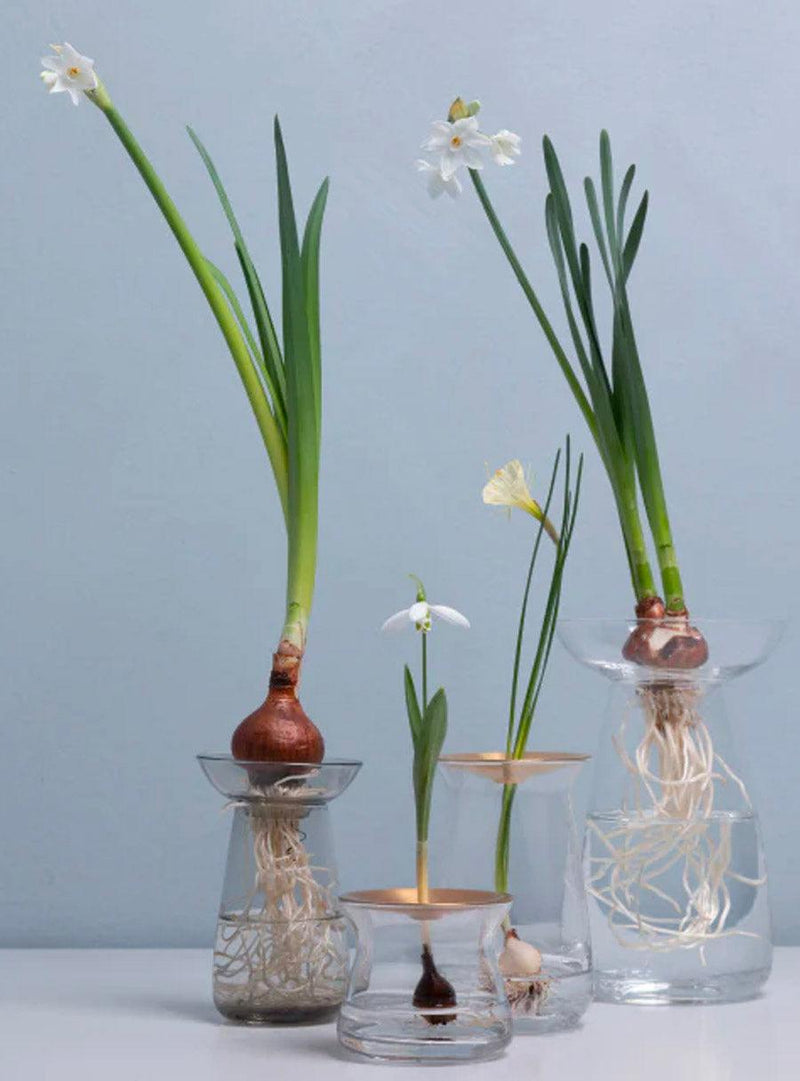 Grand vase Aqua Culture en verre