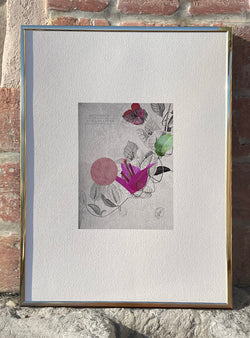 Bougainvilliers