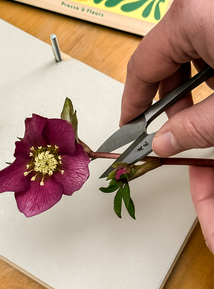 Mini ciseaux japonais Nigiri-basami