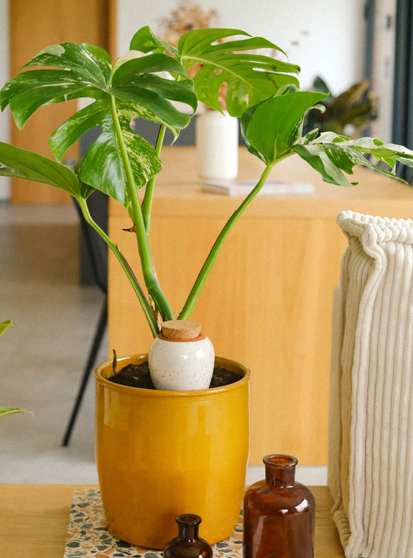 Olla à planter - 0,25L - blanc grainé