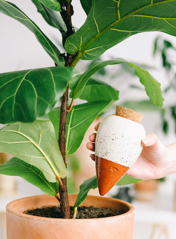 Olla à planter - 0,25L - blanc grainé