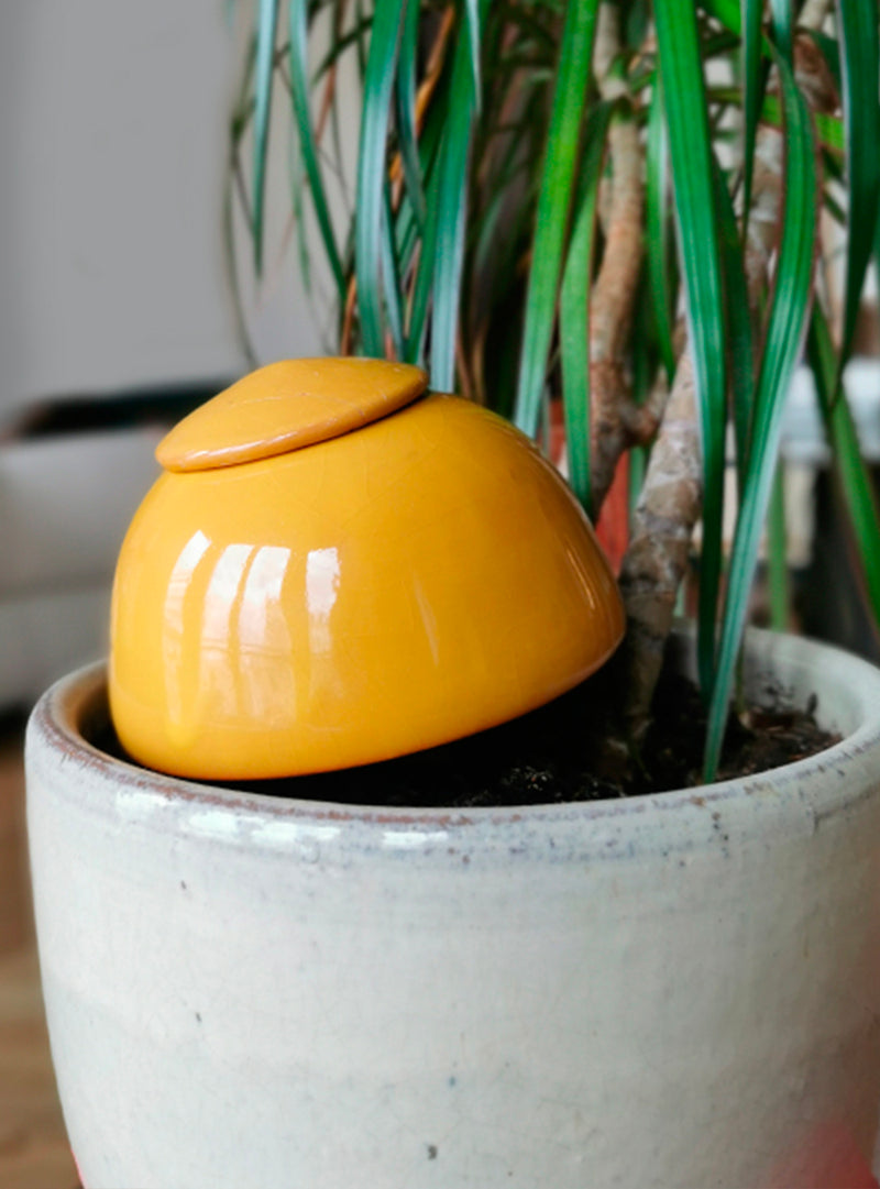 Terracotta Olla Irrigation Pot - Green