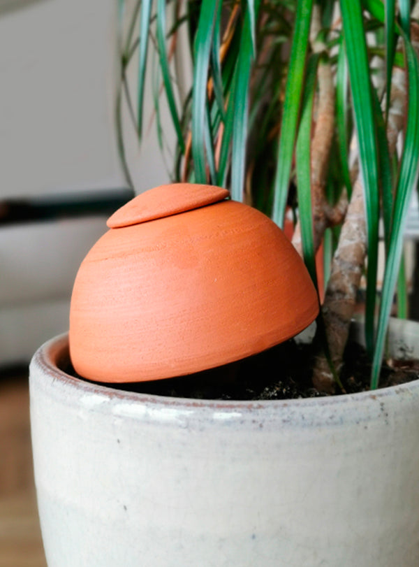 Duo d'Ollas à planter - 0,5L x 2