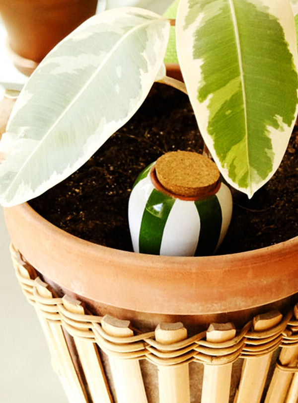 Olla à planter - 0,25L - rayée vert et blanc