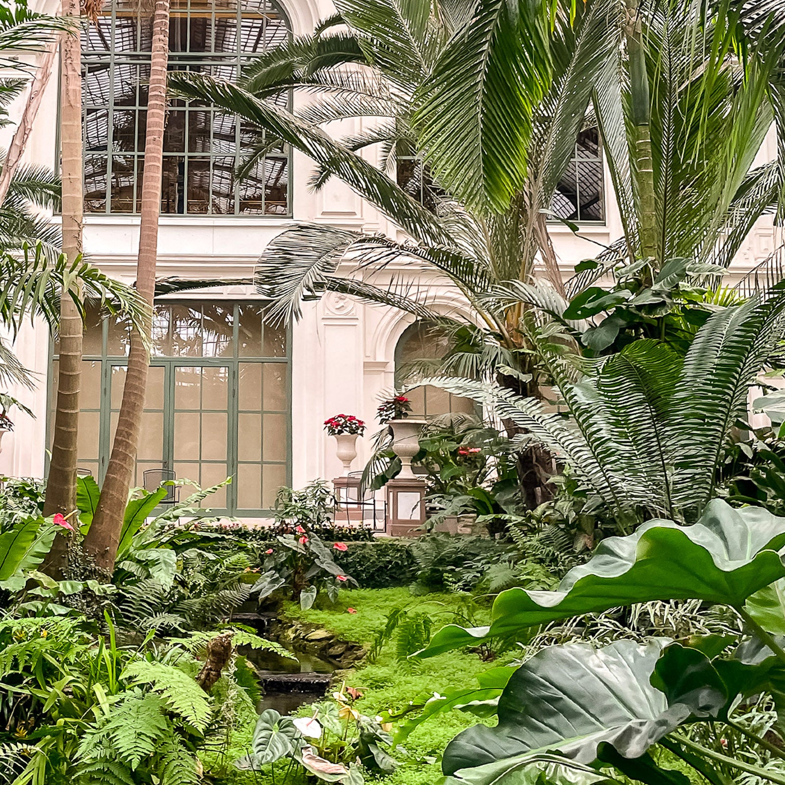 Intérieur de la Palmenhaus, Palmengarten Francfort