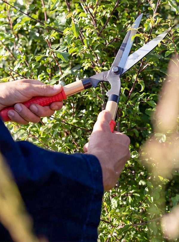 Small Japanese Garden Shears
