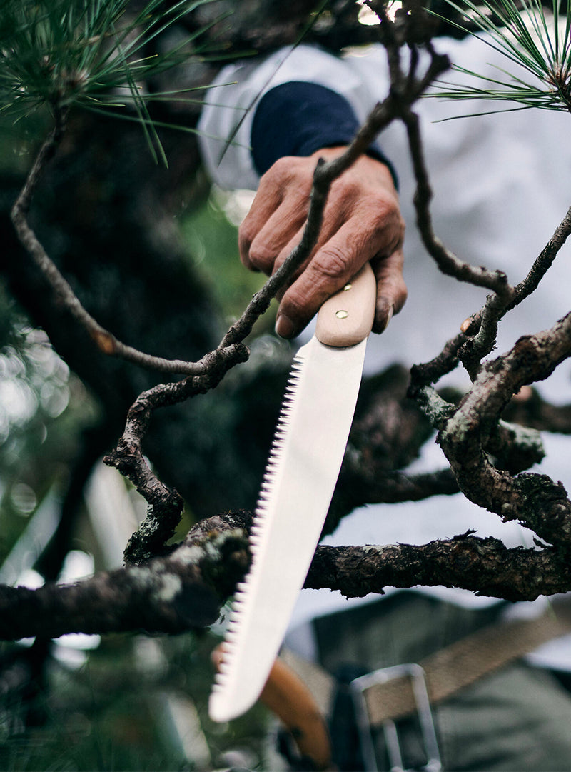 Japanese Pruning Saw