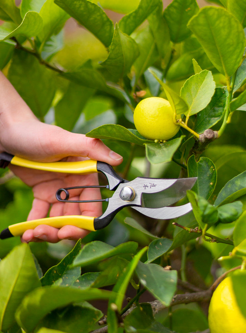 Higurashi Japanese Secateurs