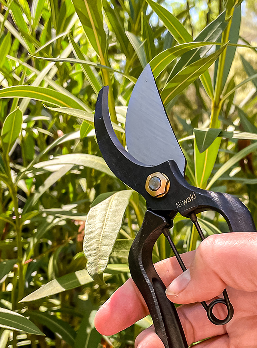 Sécateur japonais forgé Sentei