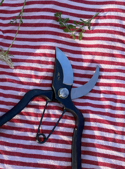 Sentei Japanese Secateurs