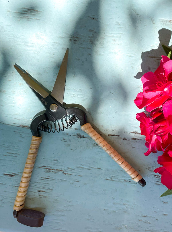 Japanese Rattan Snips