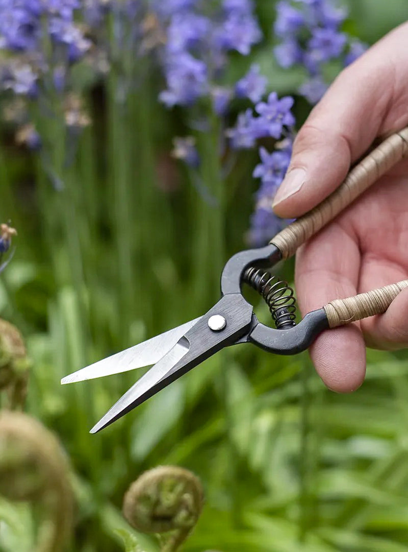 Japanese Rattan Snips