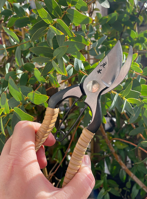 Fujimaki Japanese Rattan Secateurs