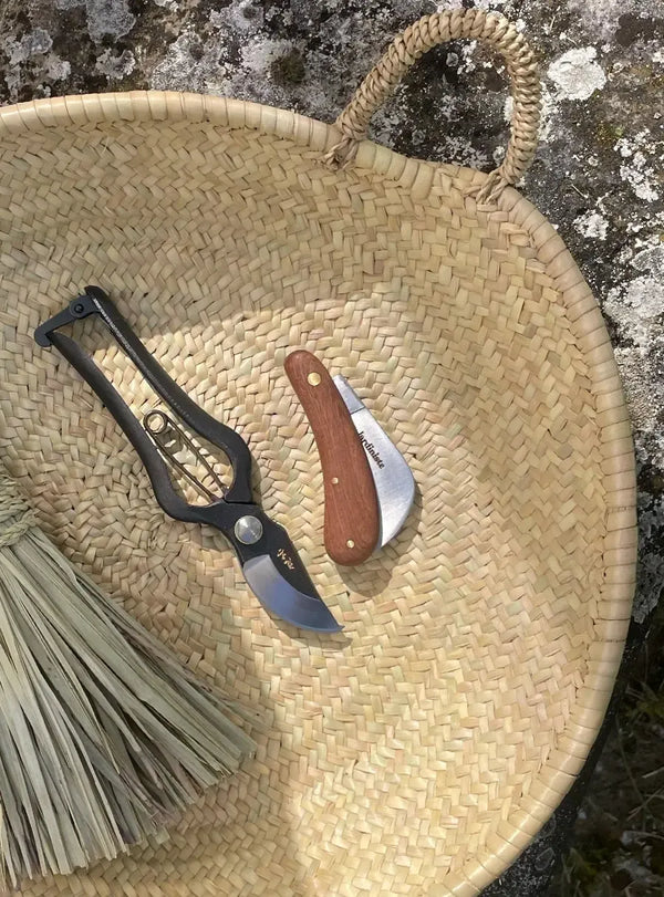Serpette