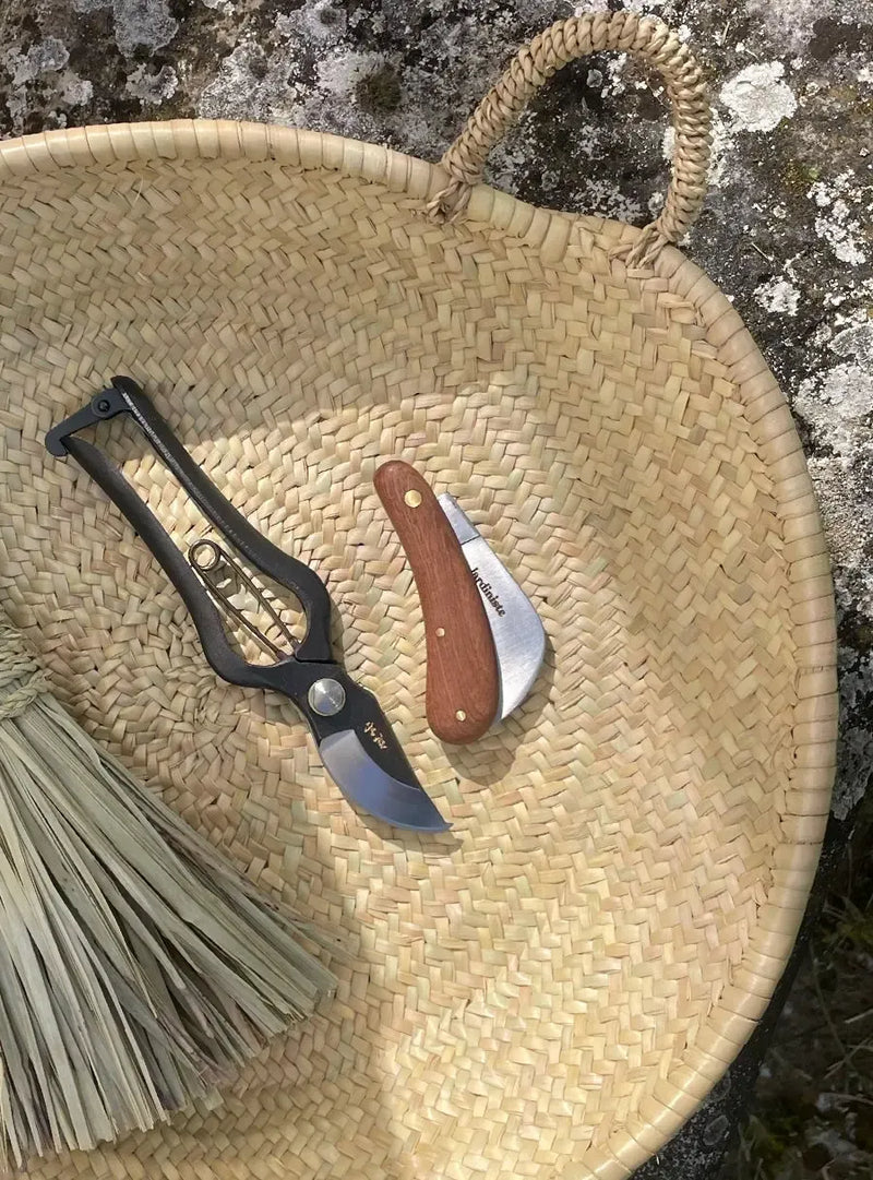 Pruning Knife