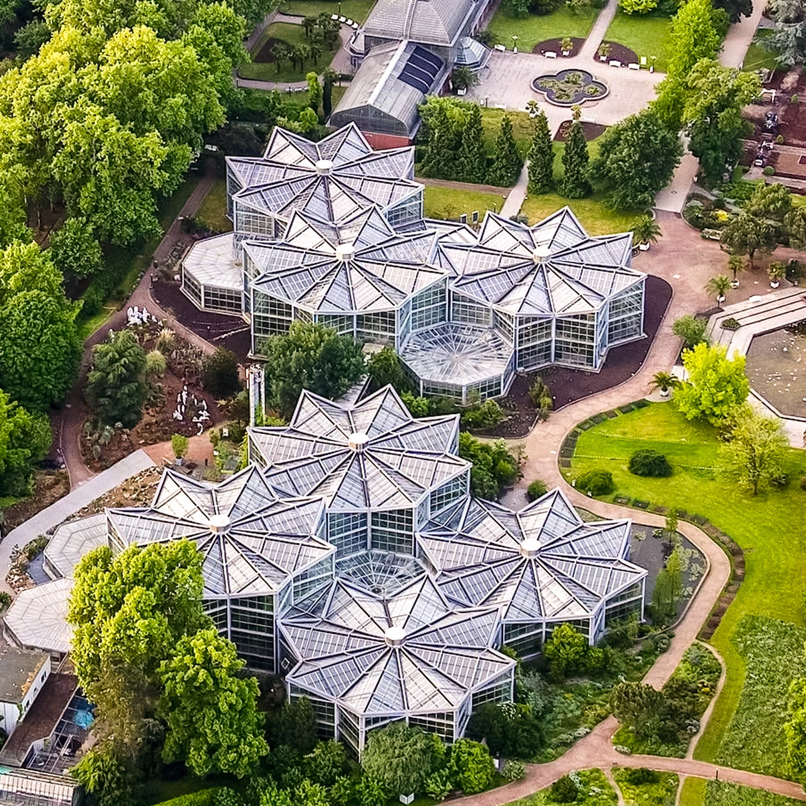 Serre du Tropicarium, Palmengarten de Francfort