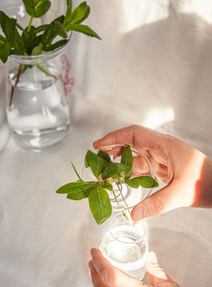 Aqua culture glass vases - Duo