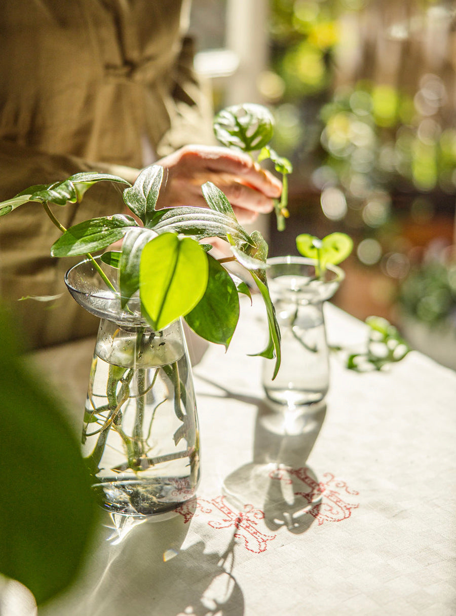 Aqua culture vases in gray glass - Duo