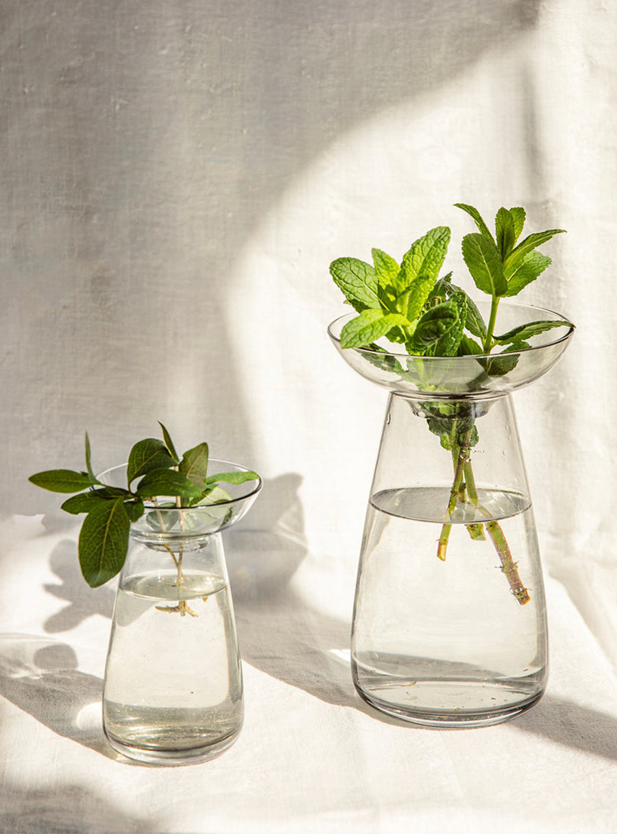 Aqua culture vases in gray glass - Duo