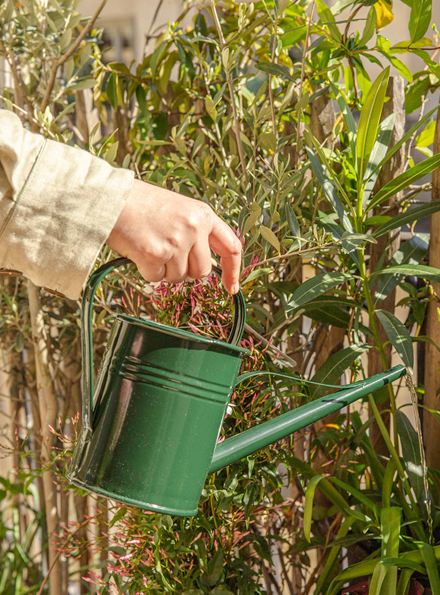 Metal Watering Can 1.5L - Green