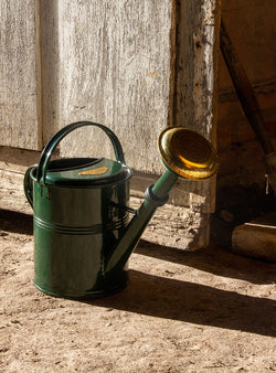 Metal Watering Can 5L - Green