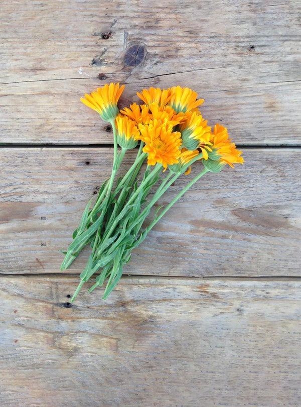 Collection de graines à semer - Fleurs comestibles