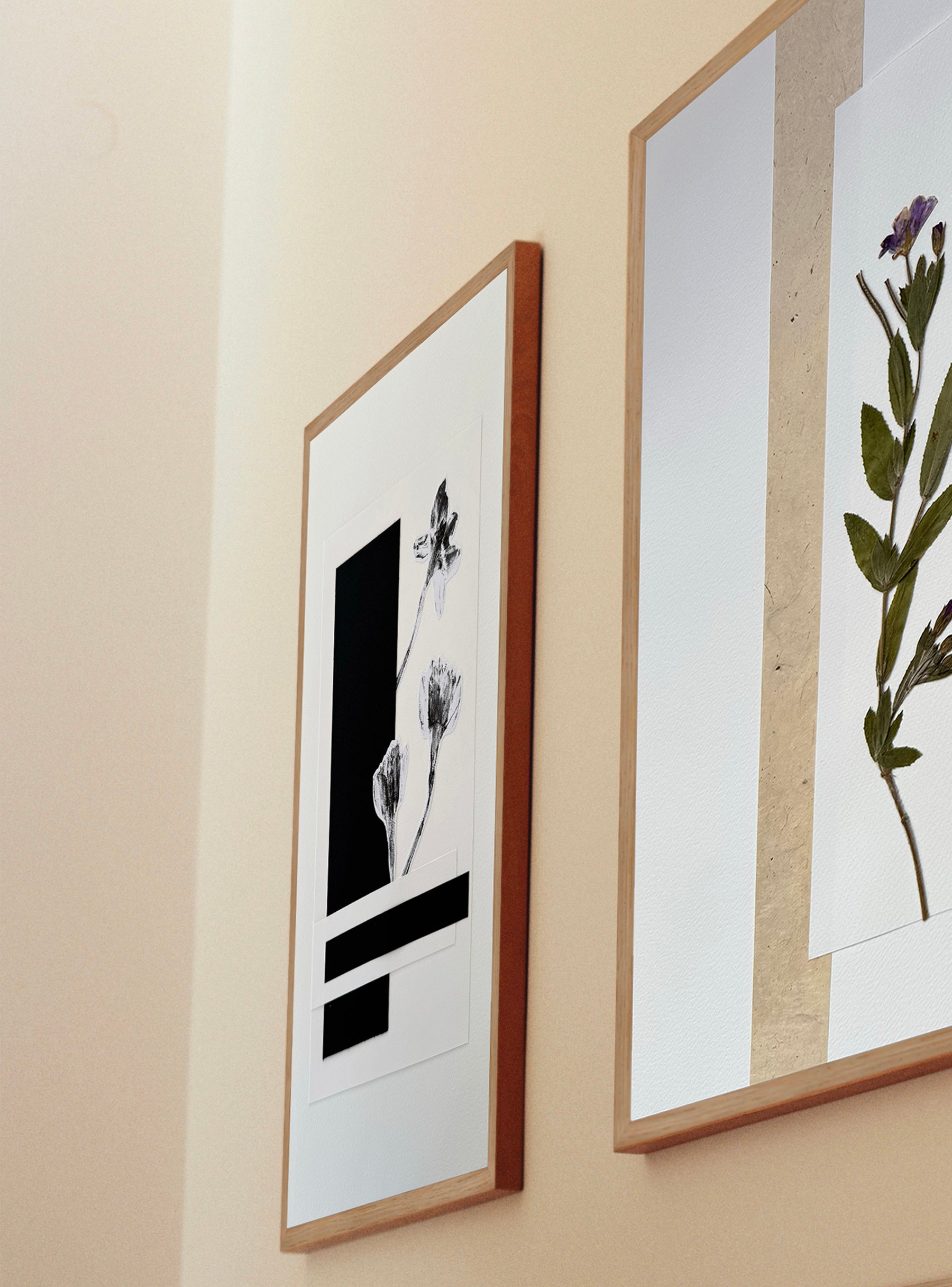 Jonquille noire I - Les Fleurs Pressées