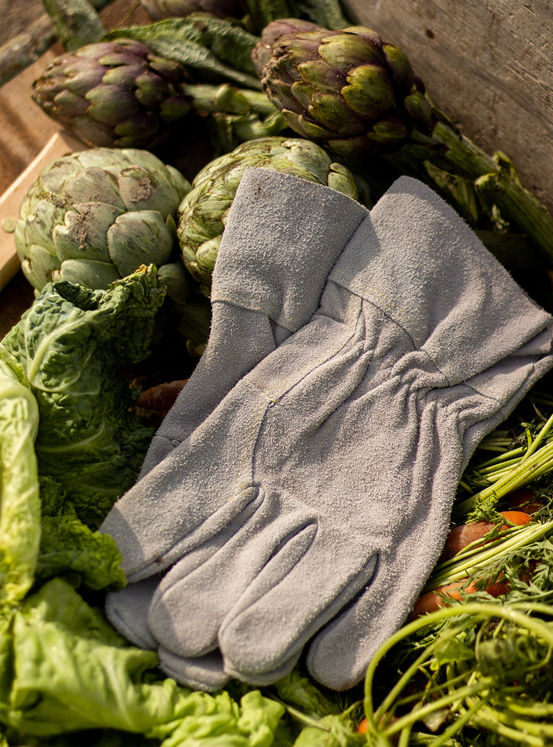 Garden gloves deals